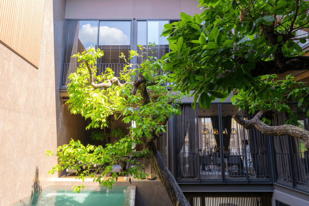 Ternyata Taman Biofilik Minimalis Naikkan Nilai Rumahmu 15–20 Persen