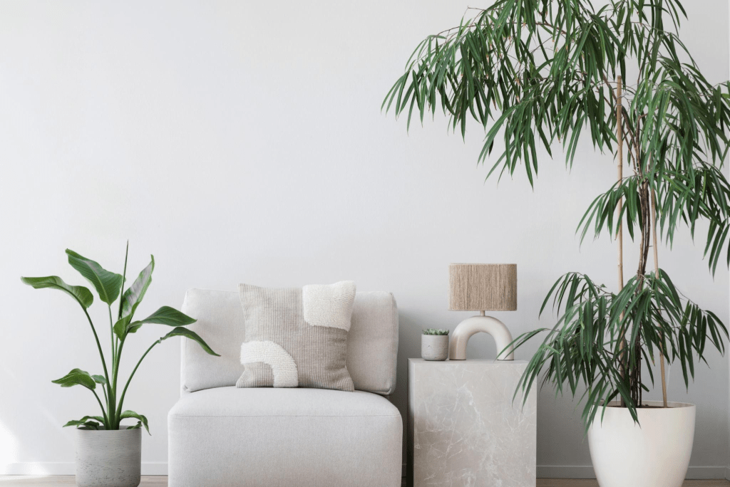 Ternyata Taman Biofilik Minimalis Naikkan Nilai Rumahmu 15–20 Persen